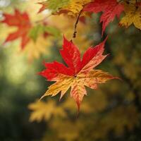 ai gerado outono despedida fechar-se do uma vermelho bordo folha dentro a floresta generativo de ai foto