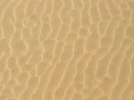 textura de areia. praia de areia para segundo plano. vista do topo foto