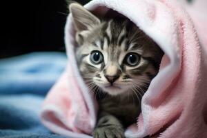 ai gerado fofa pequeno malhado gatinho com azul olhos embrulhado dentro Rosa cobertor, fofa molhado cinzento malhado gato gatinho depois de uma banho embrulhado dentro uma Rosa toalha com azul olhos, ai gerado foto