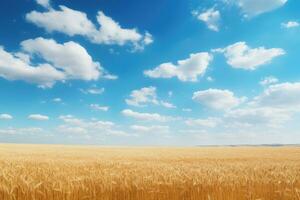 ai gerado trigo campo e azul céu com nuvens. rico colheita conceito, uma sonhadores sem fim trigo campo debaixo uma bebê azul céu com fofo branco nuvens, ai gerado foto