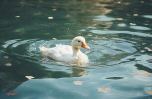 ai gerado uma branco Pato flutuando em a água foto