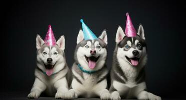 ai gerado três cachorros dentro festa chapéus em pé sobre uma Preto fundo foto