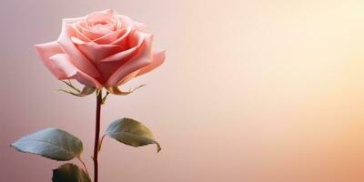 ai gerado a Rosa rosa é em topo do branco alegre fundos foto