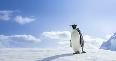 ai gerado pinguim em pé dentro Antártica olhando para dentro a azul céu. ai gerado foto