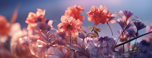 ai gerado uma fechar acima do flores dentro uma vaso em uma roxa fundo foto