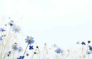 ai gerado selvagem flores isolado fundo em branco foto