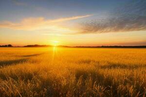 ai gerado dourado hora pôr do sol em a campo. pró foto