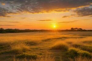 ai gerado dourado hora pôr do sol em a campo. pró foto