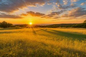 ai gerado dourado hora pôr do sol em a campo. pró foto