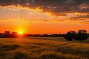 ai gerado dourado hora pôr do sol em a campo. pró foto