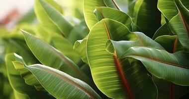 ai gerado folhas dentro a jardim, fresco verde folhas fundo dentro a jardim luz solar foto