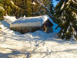 uma pequeno cabine dentro a neve foto