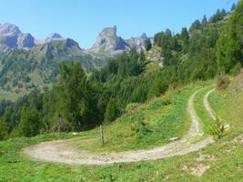 uma sujeira estrada enrolamento através uma montanha foto