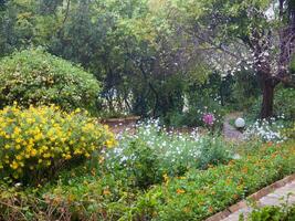 uma jardim com muitos flores e árvores foto