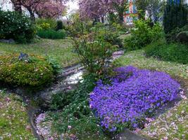 uma pequeno corrente corrida através uma flor jardim foto