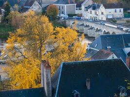 uma árvore com amarelo folhas foto