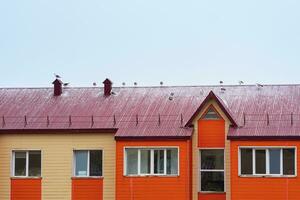 gaivotas sentar em a cobertura do uma de madeira casa foto
