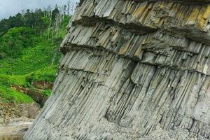 pé do uma costeiro penhasco composto do colunar basalto, em a ilha do kunashir foto