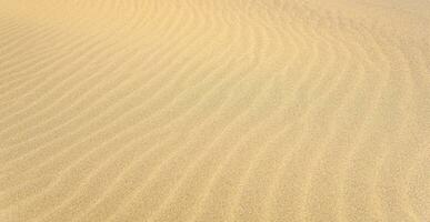 natural fundo, arenoso deserto superfície com vento ondulações foto