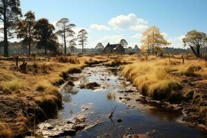 ai gerado panorama com uma Fazenda dentro uma pantanoso área foto