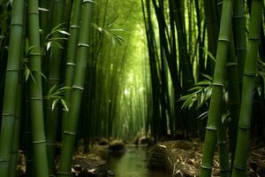 ai gerado panorama do bambu floresta com calma rio foto