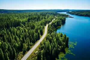 ai gerado aéreo Visão do uma estrada dentro a meio do a floresta foto