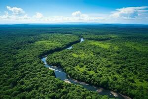 ai gerado zangão aéreo pássaros olho Visão do uma ampla verde Relva floresta com alta árvores e uma grande azul Bendy rio fluindo através a floresta foto