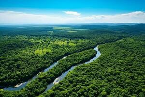 ai gerado zangão aéreo pássaros olho Visão do uma ampla verde Relva floresta com alta árvores e uma grande azul Bendy rio fluindo através a floresta foto