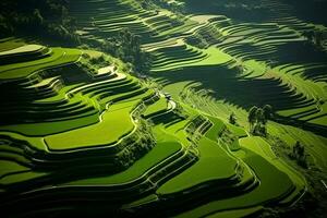 ai gerado topo Visão ou aéreo tiro do fresco verde e amarelo arroz Campos foto