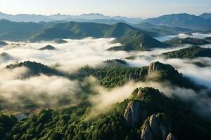 ai gerado aéreo Visão do Sombrio verde floresta com enevoado nuvens. a rico natural ecossistema do floresta tropical conceito do natural floresta conservação e reflorestamento. foto