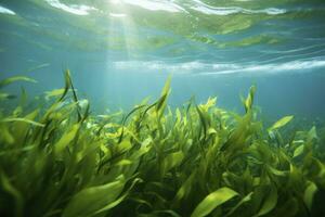 ai gerado embaixo da agua Visão do uma grupo do solo oceânico com verde algas marinhas. ai gerado foto