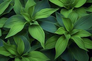 ai gerado uma plantar com grande quantidade do ampla verde folhas. ai gerado foto