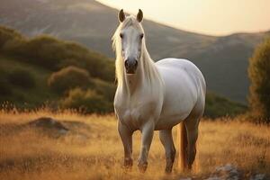 ai gerado branco cavalo ou égua dentro a montanhas às pôr do sol. ai gerado foto