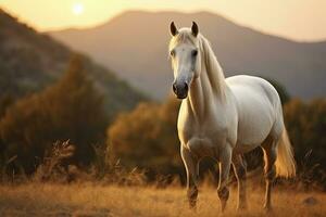 ai gerado branco cavalo ou égua dentro a montanhas às pôr do sol. ai gerado foto