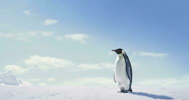 ai gerado pinguim em pé dentro Antártica olhando para dentro a azul céu. ai gerado foto