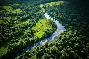 ai gerado zangão aéreo pássaros olho Visão do uma ampla verde Relva floresta com alta árvores e uma grande azul Bendy rio fluindo através a floresta foto