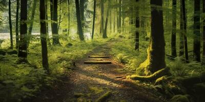 ai gerado uma estrada com lindo floresta. ai gerado foto