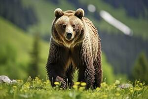 ai gerado Castanho Urso comovente em a verde Prado dentro primavera natureza. ai gerado foto