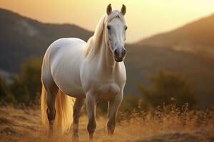 ai gerado branco cavalo ou égua dentro a montanhas às pôr do sol. ai gerado foto