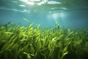 ai gerado embaixo da agua Visão do uma grupo do solo oceânico com verde algas marinhas. ai gerado foto