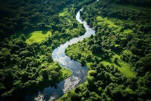 ai gerado zangão aéreo pássaros olho Visão do uma ampla verde Relva floresta com alta árvores e uma grande azul Bendy rio fluindo através a floresta foto