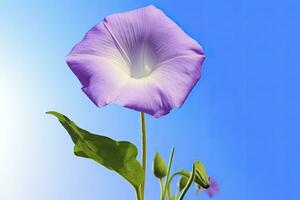 ai gerado manhã glória flor com azul céu. ai gerado. foto