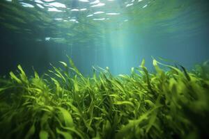 ai gerado embaixo da agua Visão do uma grupo do solo oceânico com verde algas marinhas. ai gerado foto