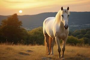 ai gerado branco cavalo ou égua dentro a montanhas às pôr do sol. ai gerado foto