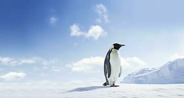 ai gerado pinguim em pé dentro Antártica olhando para dentro a azul céu. ai gerado foto