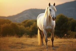 ai gerado branco cavalo ou égua dentro a montanhas às pôr do sol. ai gerado foto