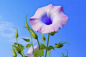 ai gerado manhã glória flor com azul céu. ai gerado. foto