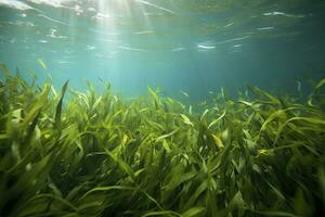 ai gerado embaixo da agua Visão do uma grupo do solo oceânico com verde algas marinhas. ai gerado foto