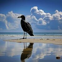 ai gerado gaivota em a de praia debaixo azul céu. foto