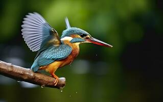 ai gerado a comum martinho pescatore zonas úmidas pássaro colori penas a partir de diferente pássaros. generativo ai foto